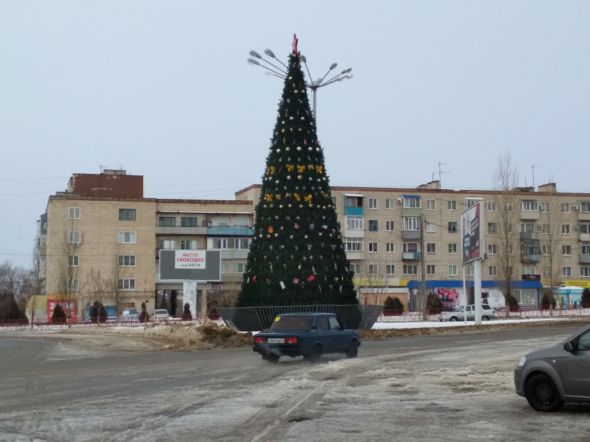  В Камышине елка- «долгожительница» на Комсомольской площади установила двухмесячный рекорд, - камышанка 