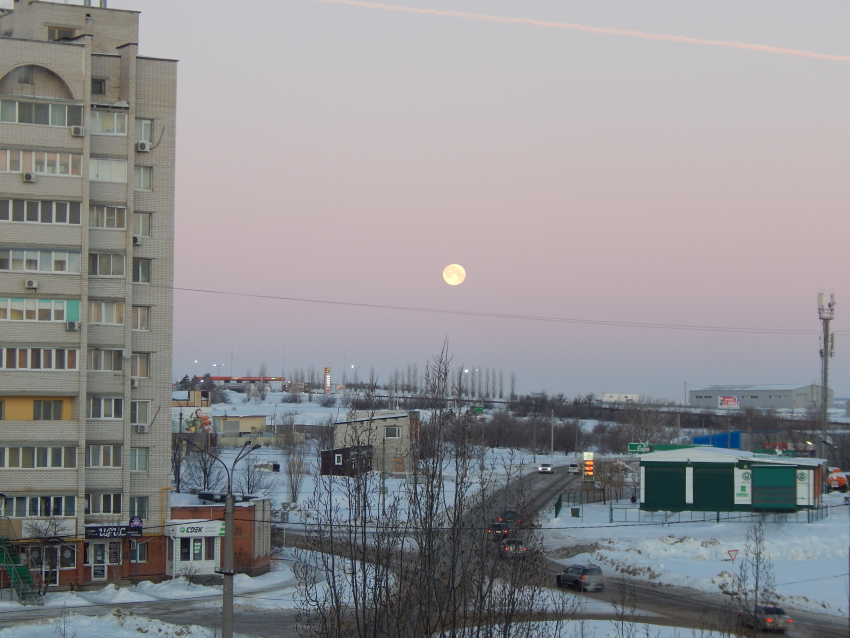 От гула и самолетных следов в небе насторожились камышане