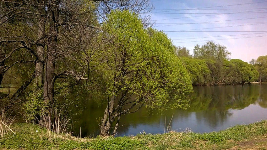 Следователи устанавливают причину смерти найденного у водоема маленького мальчика