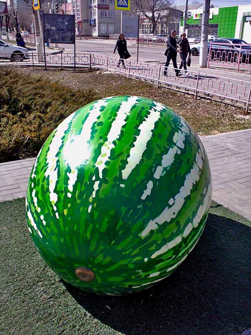 В Камышине вся неделя будет теплой почти по-летнему