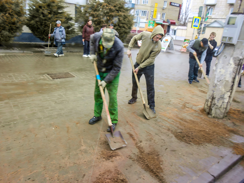 В Камышине начался месячник по благоустройству: в профильном МБУ решили в первую очередь расчистить остановки на центральных улицах