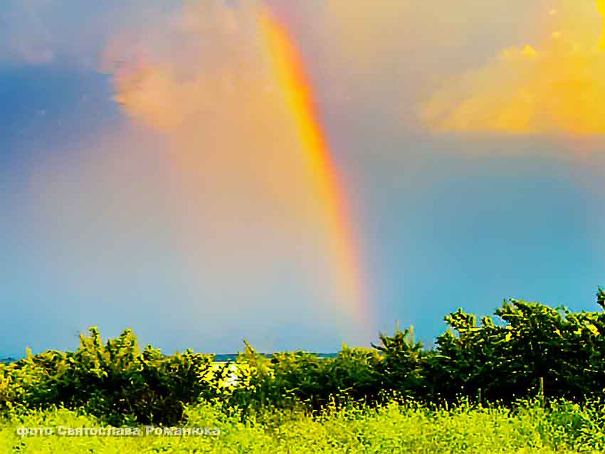 Денежную неделю в конце июня предсказала нескольким знакам Зодиака волгоградский астролог