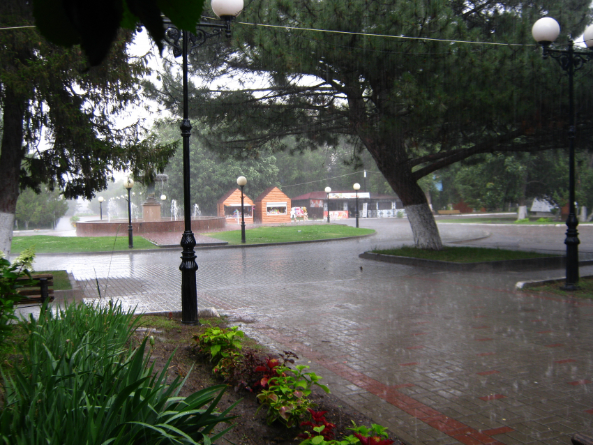 Дождь спрогнозировали синоптики для Камышина в понедельник 10 июля