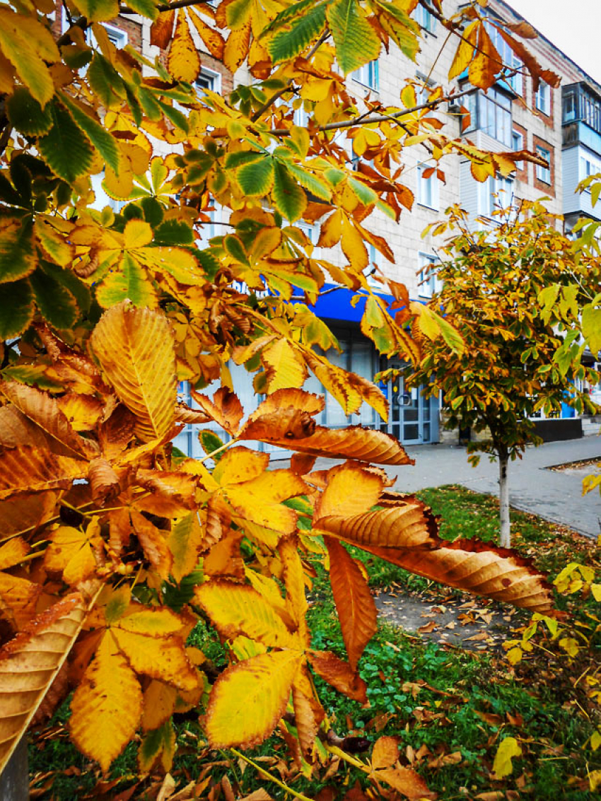 Камышанин Руслан Дан погиб на линии боевого соприкосновения