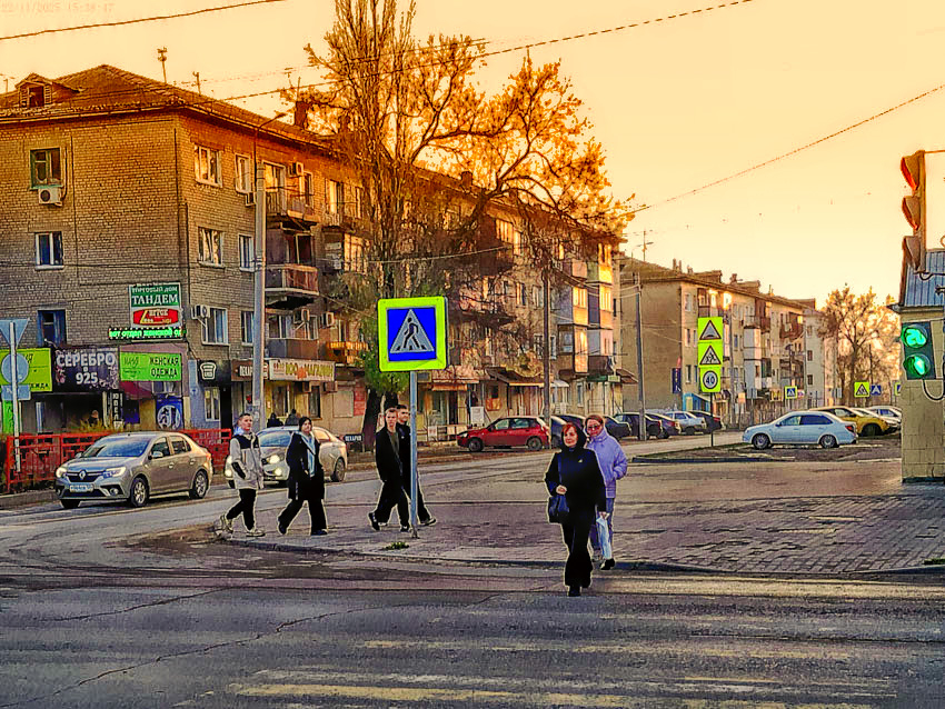 В Камышине сегодня, 27 ноября, будет +4, до морозных отметок пока дело не дойдет