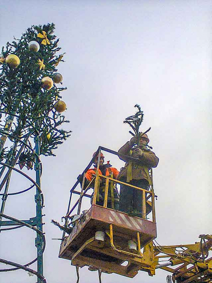 Чтобы поднять настроение горожанам, в Камышине больше чем за месяц до Нового года стали устанавливать елки