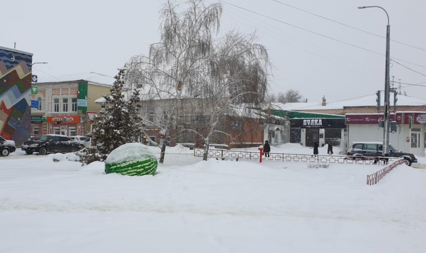 Камышане в метель делают селфи с памятником Арбузу, который накрыт шапкой снега