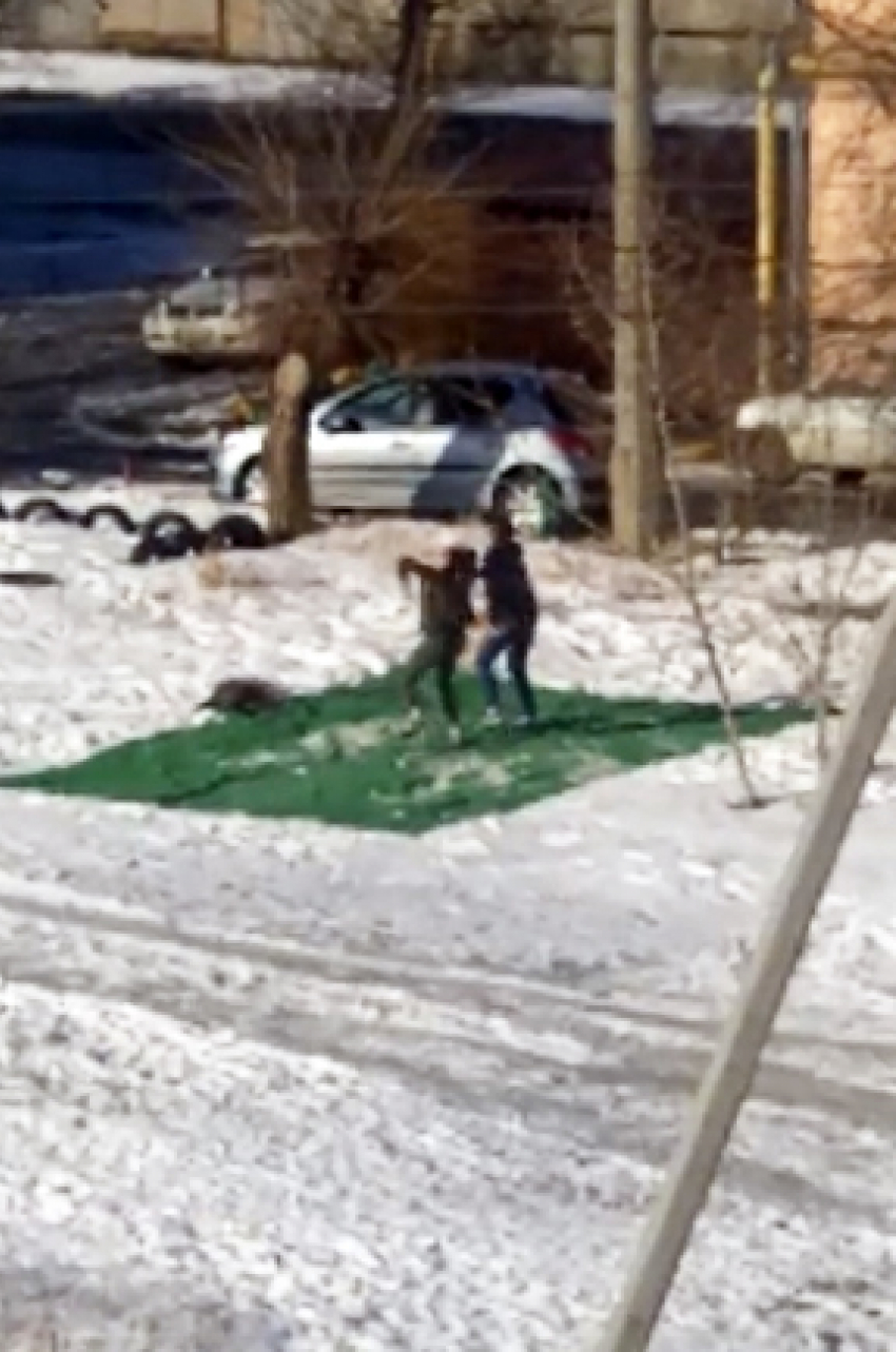 В сеть попало видео азартных юных камышанок, зажигающих на снегу, на зеленом ковре