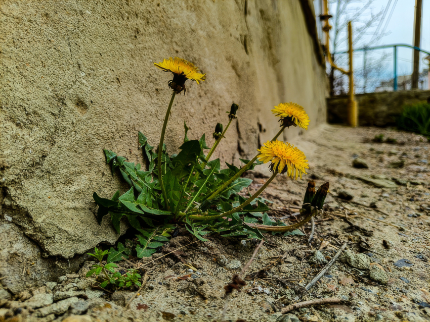 Синоптики «настаивают» на грозе в Камышине сегодня, 5 апреля