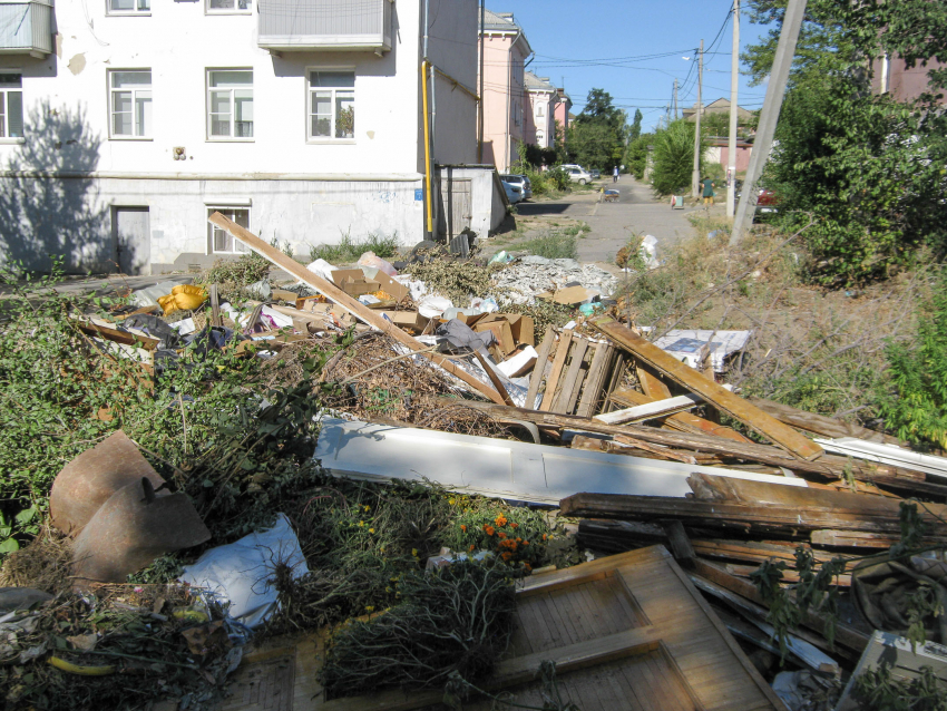 Станислав Васильевич, нельзя ли повторить «трюк» с разгребанием мусорки? - камышанка