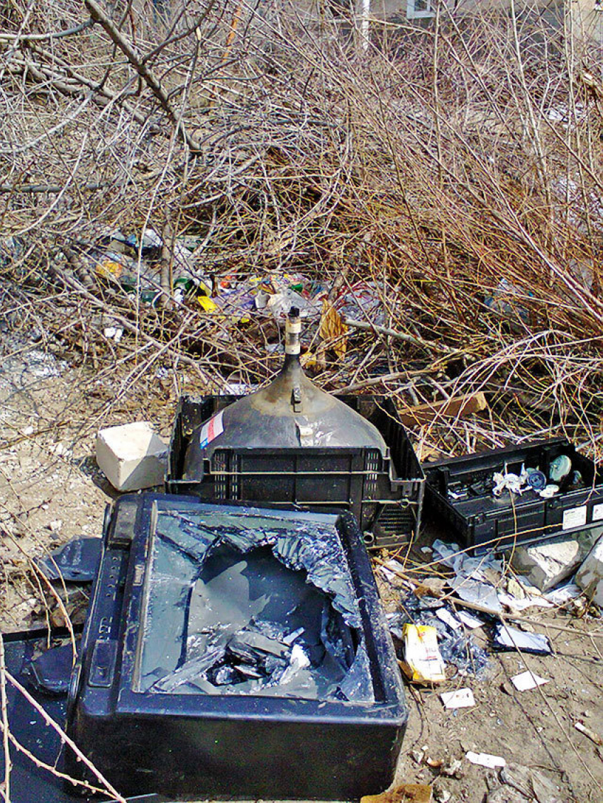 В кучах мусора, которые скапливаются в Камышине у контейнеров, горожане обнаружили «бомбу замедленного действия"