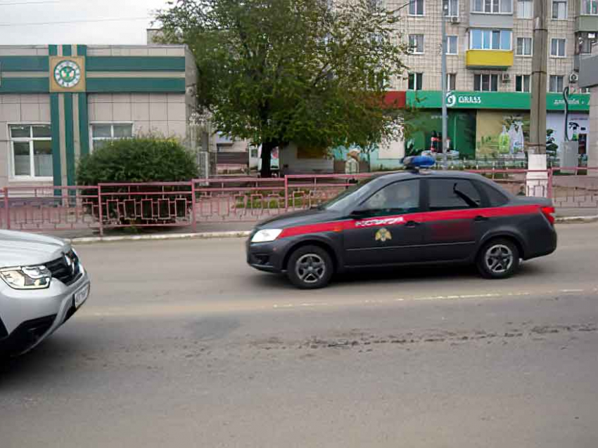 В Камышине 19-летняя девица зашла в пункт WildBerries, примерила дорогую куртку и унесла ее без оплаты