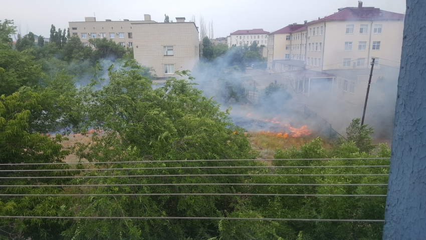 В объектив камышан попал ландшафтный пожар в городе