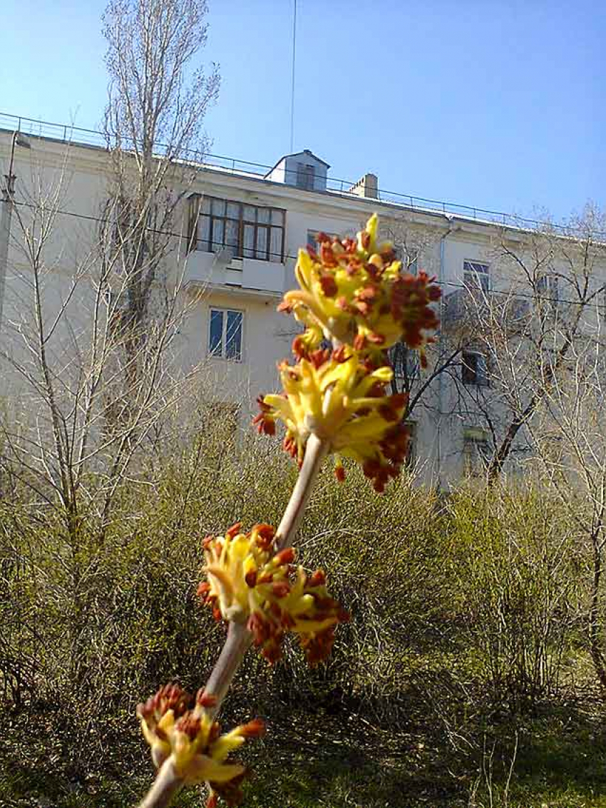 Суббота приходит к камышанам с солнцем, воскресенье - с дождем