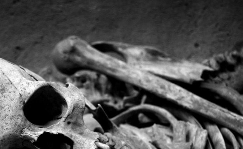 В городе Петров Вал Камышинского района в подвали нашли останки трупа-мумии