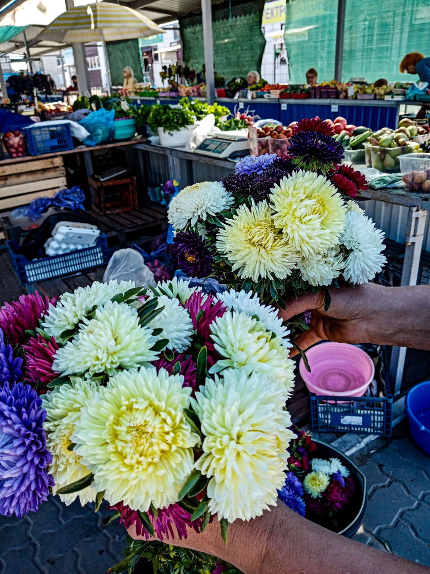 В Камышине вдвое подорожали букеты перед 1 сентября