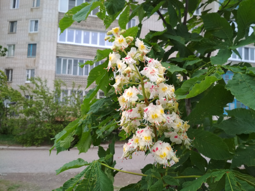 Сегодня, 11 мая, в Камышине прохладно и дождливо, но завтра - солнце и +20