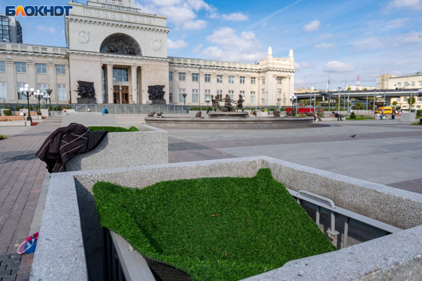 Куда «переехали» экзотические пальмы от железнодорожного вокзала в Волгограде