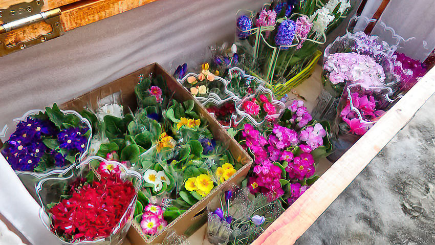 Свежий прогноз на первый праздник весны:  8 Марта Камышин заметет снегом, и ударит мороз в -15!