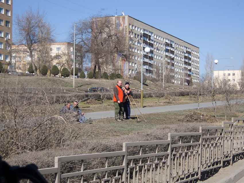 В Камышине начали убирать прошлогодние листья и ветки