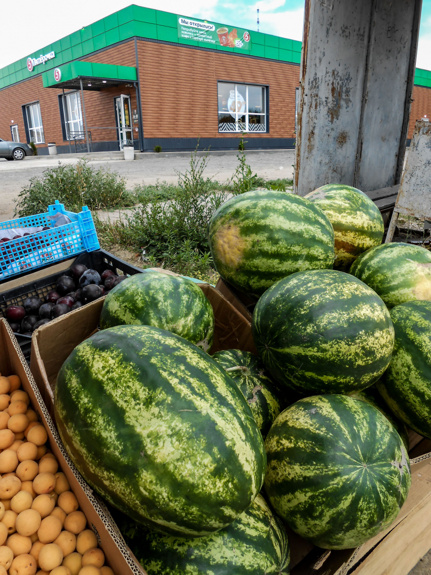 В Камышине привезли на продажу липовские арбузы