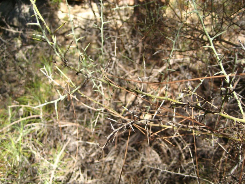 Хозяин частного домовладения четыре месяца жил вместе с трупом, сам того не подозревая