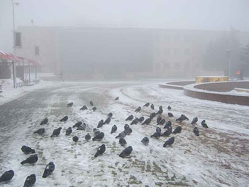 То туман, то солнце - таким будет «странный» последний январский день