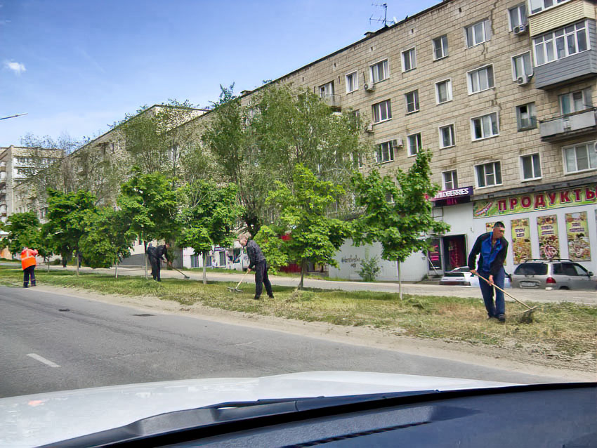 В Камышине «оранжевые жилеты» вышли полоть и «подгребать» улицу Некрасова, вооружившись тяпками и граблями