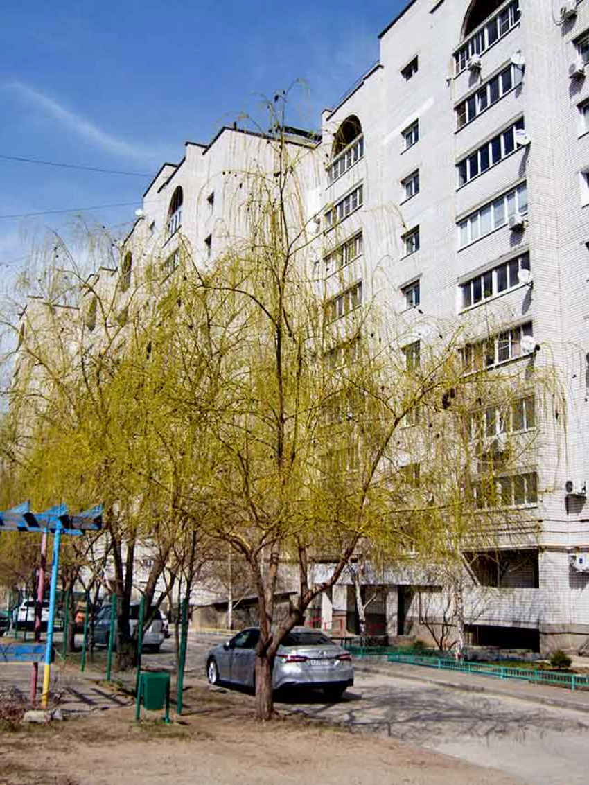 Редакция «Блокнота Камышина» исправляет свою ошибку и уточняет, что штрафом в 50 тысяч суд наказал экс-директора «РЭП №1» в Камышине Александра Курочкина