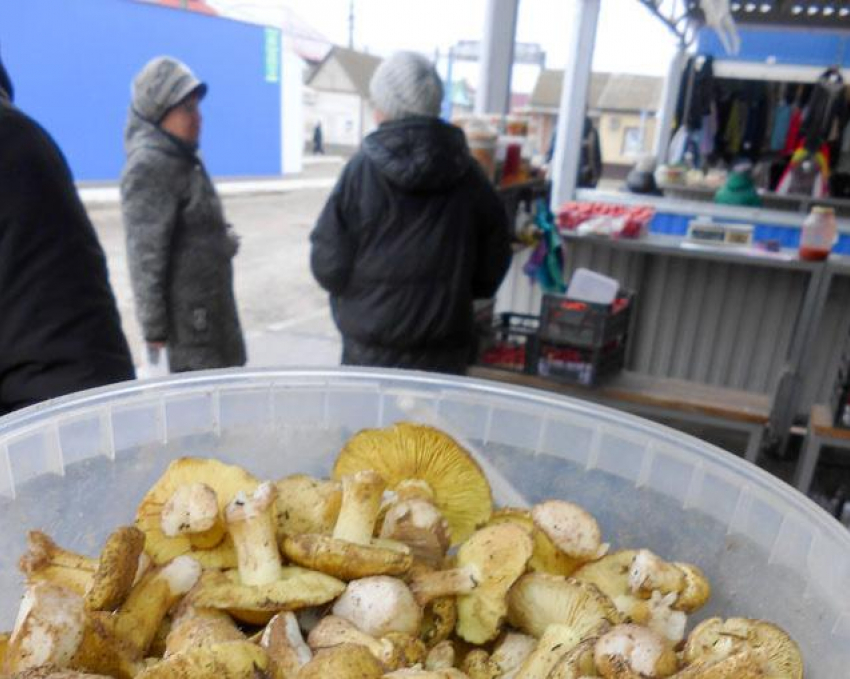 В Соцфонде объяснили, почему массовой доиндексации страховых пенсий с 1 февраля 2026 года ждать не стоит