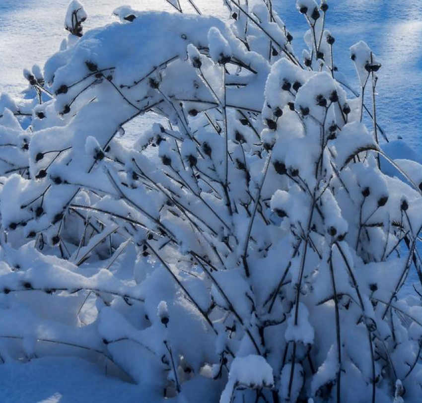 Инна Друзина, глава города Петров Вал Камышинского района, где в гололед упал и умер школьник,  отказалась комментировать, чем власти помогут несчастной семье