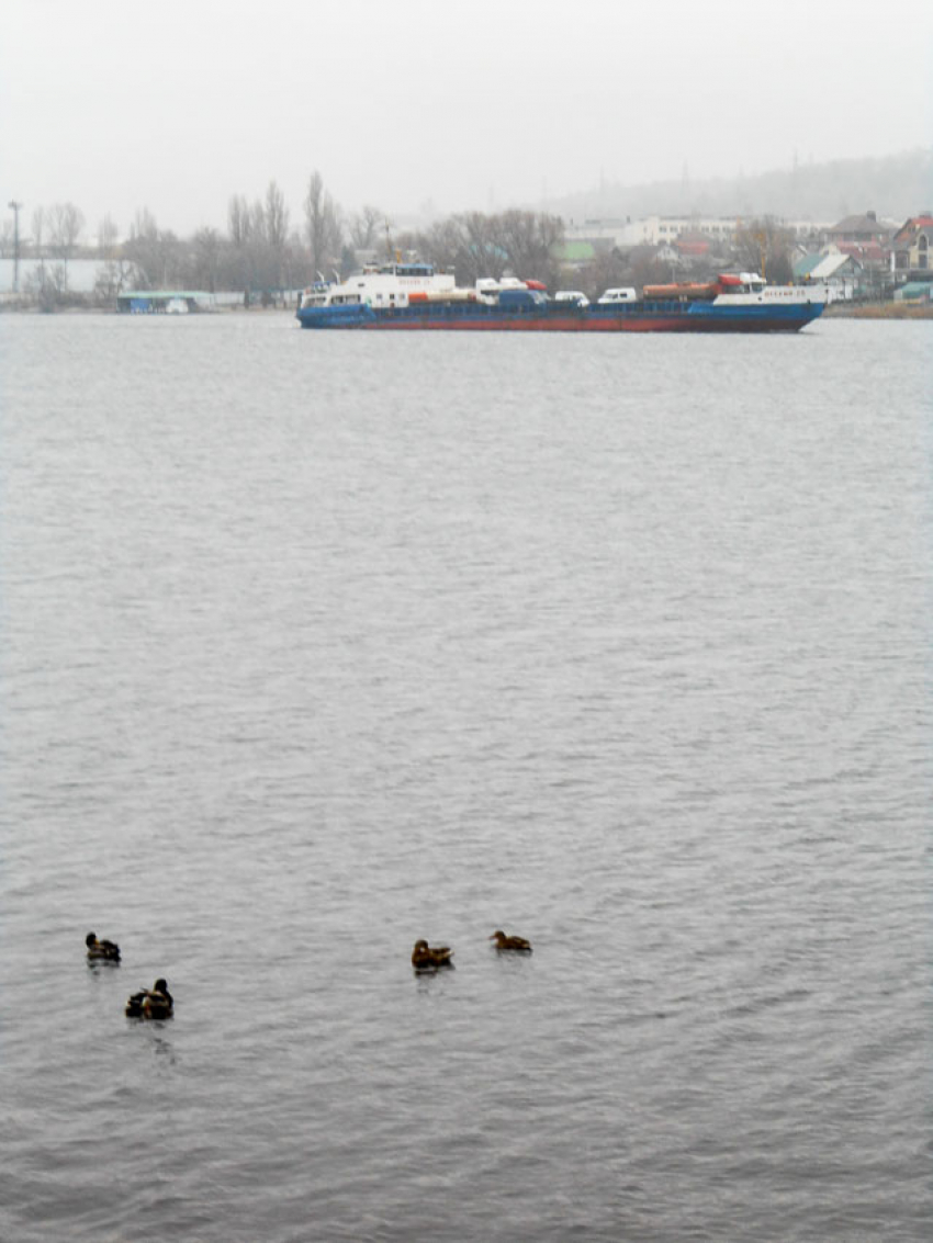 Температура воздуха готовится упасть до нуля в Камышине сегодня, 25 ноября