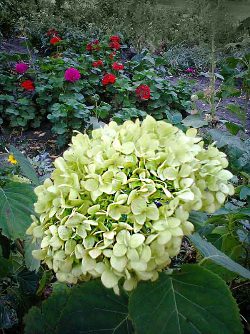 Сегодняшняя пятница предстоит теплой, +20, а на следующей неделе похолодает до +8