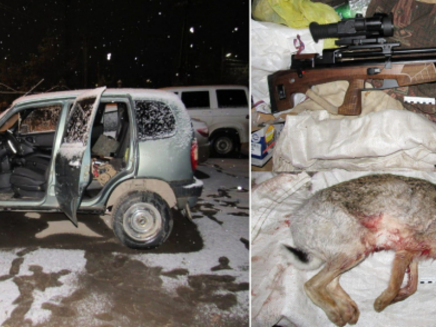 Полицейские задержали «Ниву» с незаконно расстрелянным зайцем