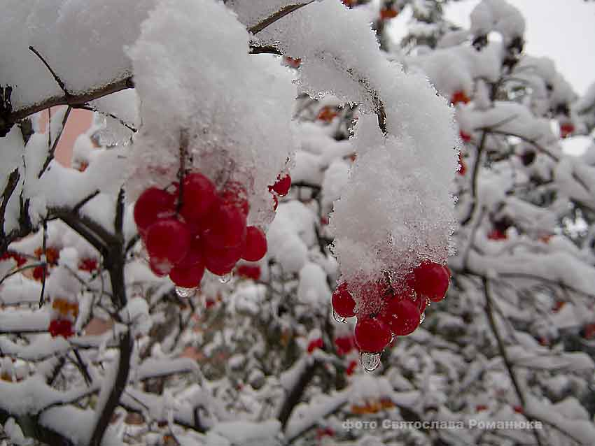 К Камышину приближается мощный мартовский снегопад