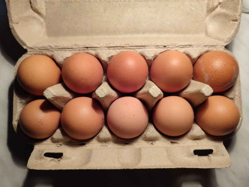 В Камышине куриные яйца идут на ценовой рекорд