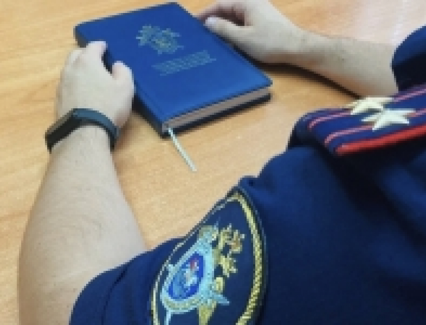 Бизнесменом, жадничавшим с зарплатой рабочим в Камышине, занялся СК