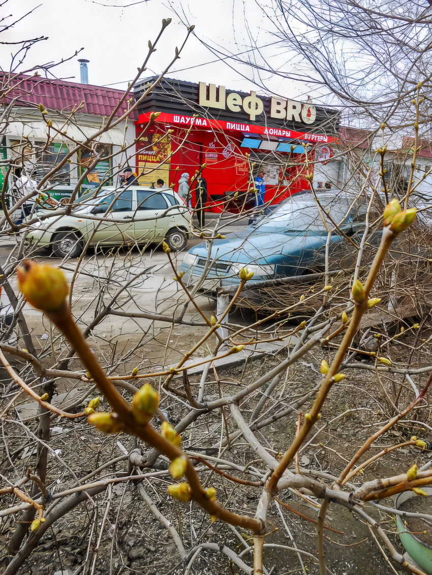 Азиатское тепло в Волгоградской области перебьют дожди с Персидского залива  