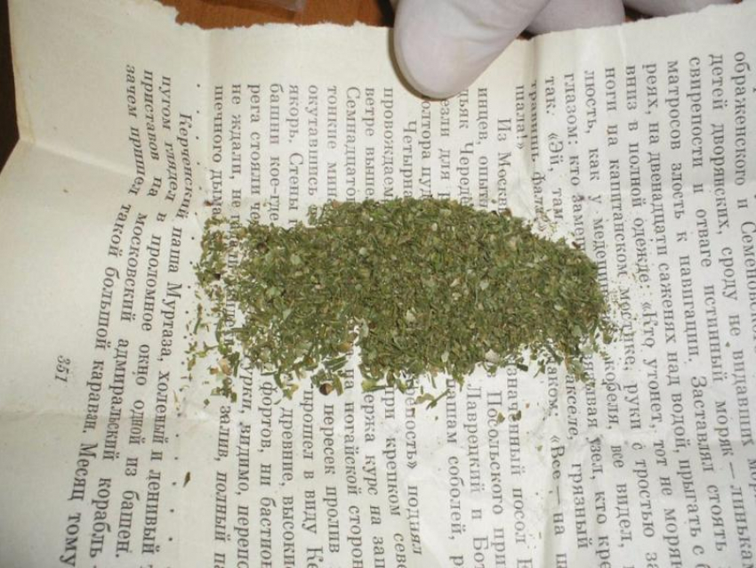В Камышине на 5 микрорайоне сотрудники Росгвардии задержали сбытчика марихуаны