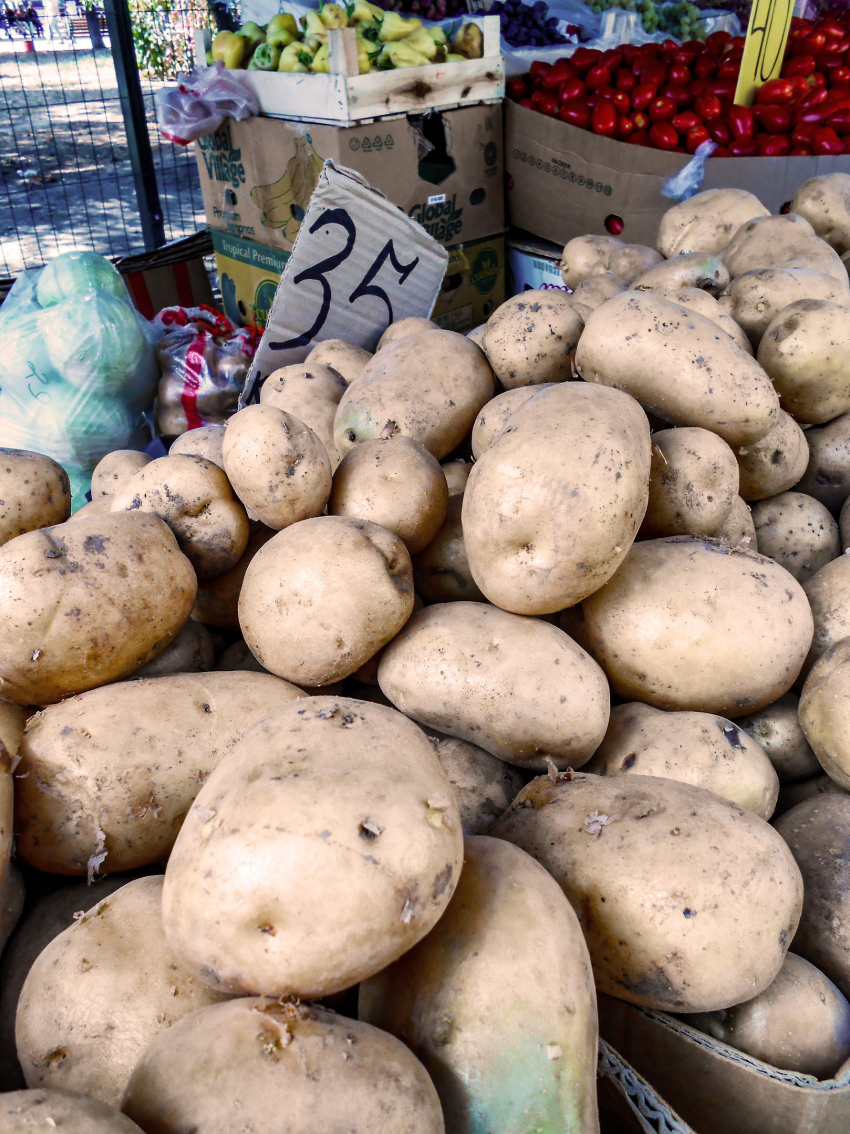 В Камышине цены на картошку замерли на 35-ти рублях
