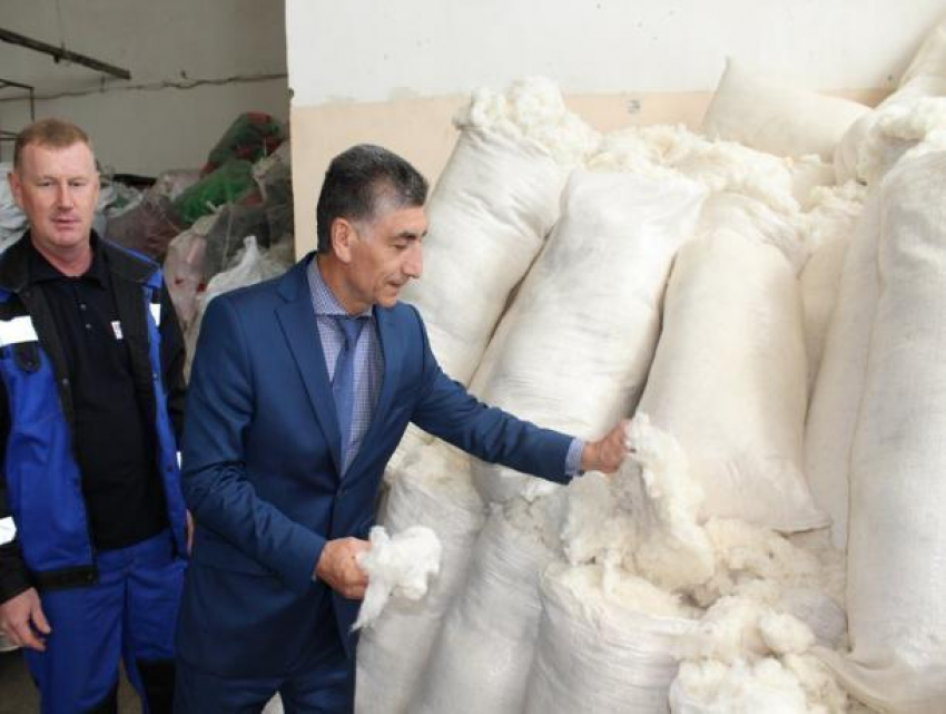 Заместитель губернатора Роман Беков презентовал на текстильном предприятии Камышина местный хлопок