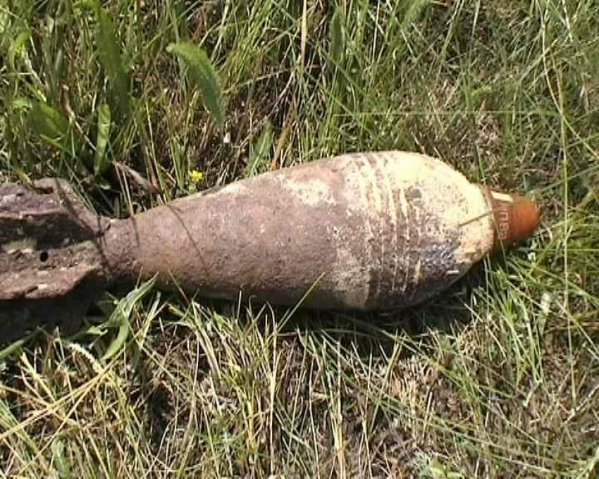 Камышане случайно выкопали в огороде собственного дома мину