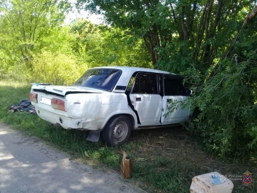 Смертельное пике: водитель погиб на месте, врезавшись на «семерке» в дерево
