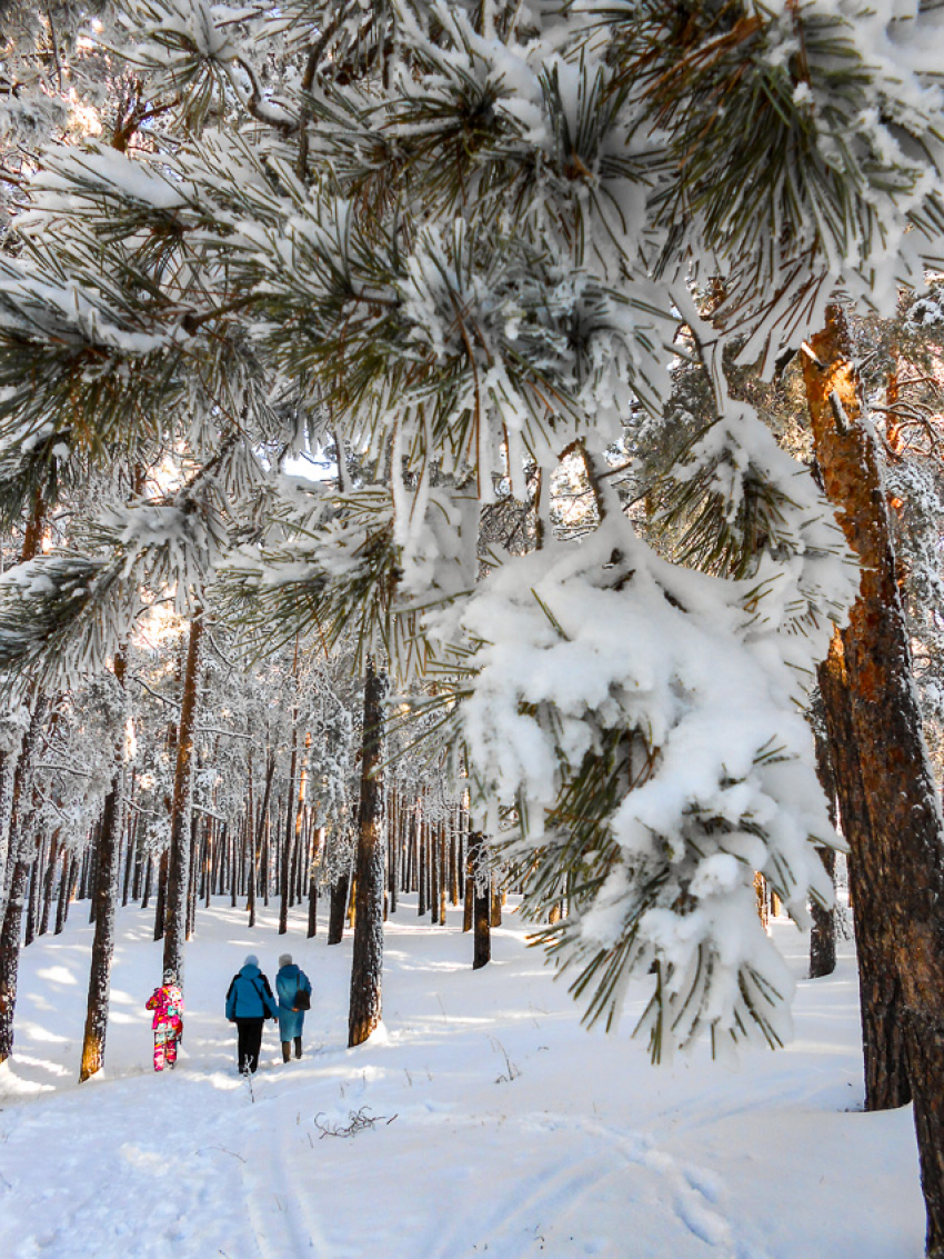 Атаку БПЛА на объекты транспорта и энергетики отразили в Волгоградской области , а вослед вновь объявили «тревогу"