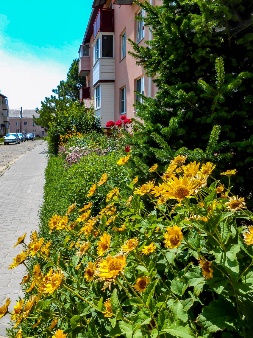 Сколько домов оставят без света в Камышине сегодня, 17 июля