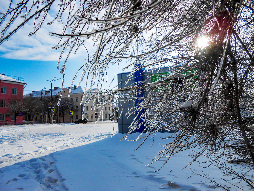В Саратовской области уроки отменили из-за холодов 26 января, в Волгоградской области «морозоустойчивые» дети учатся