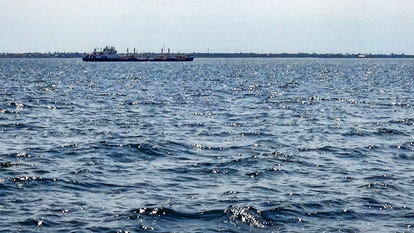 +29 и освежающий ветерок с северо-запада: погода в Камышине 25 июля