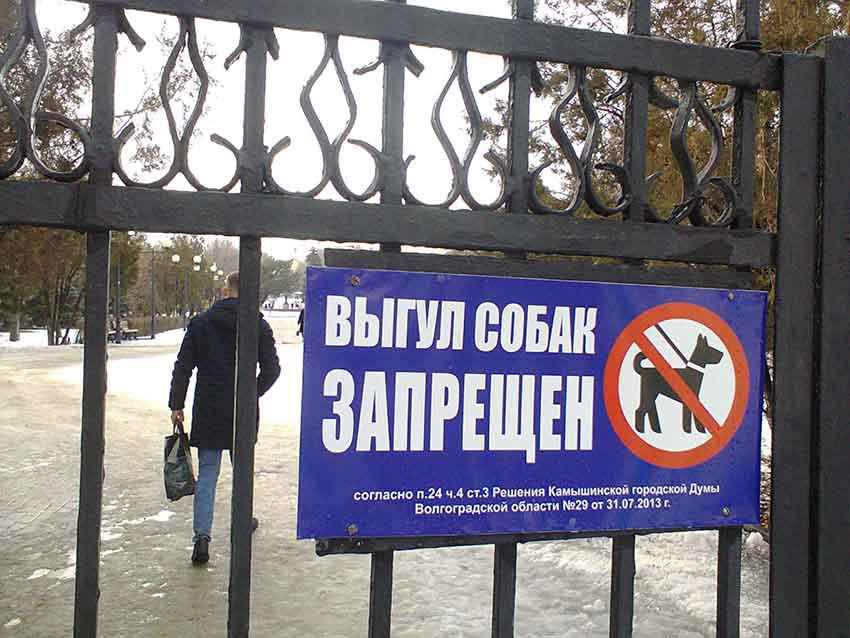 В парках Камышина запрещают выгул собак, еще бы запретить «выгул» алкашей! - пенсионерка