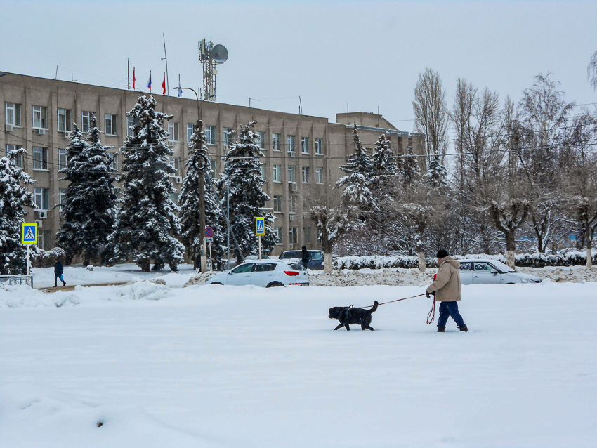 В Камышине главный редактор газеты «Диалог» Виктория Кадацкая согласна, что доставка издания крайне не регулярная, - ну, и?..