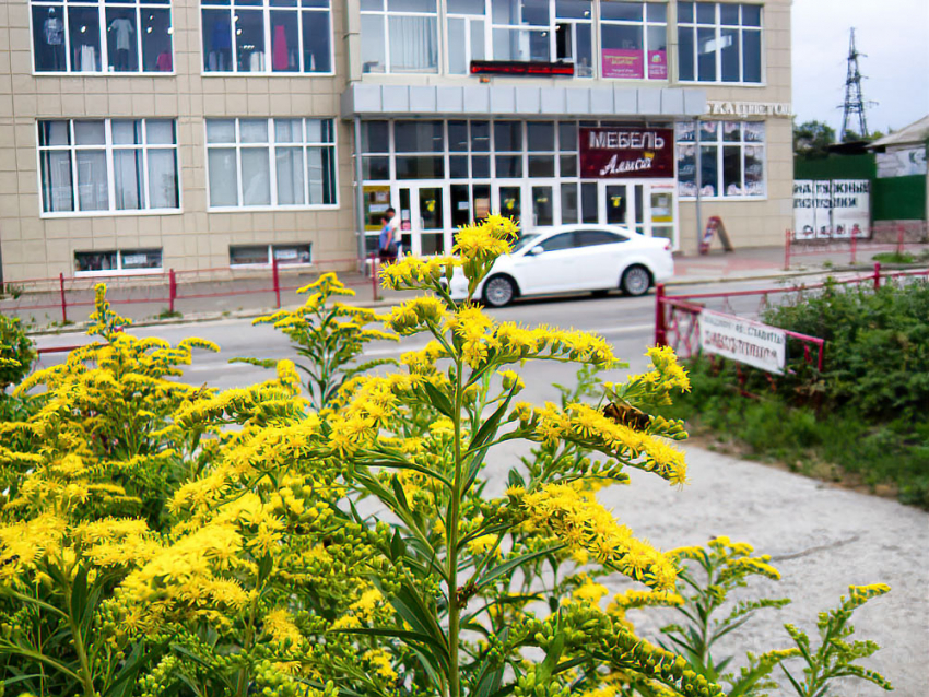 Ясно и жарко, с несколькими каплями дождя: погода в Камышине на выходные